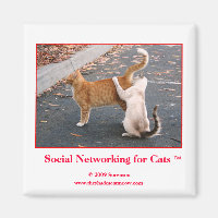 Redes sociais para o ímã de gatos