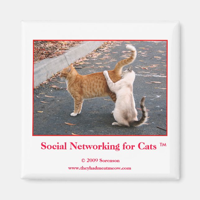 Íman Redes sociais para o ímã de gatos (Frente)