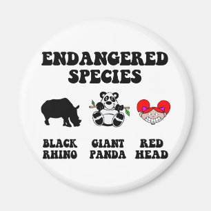 Íman Redhead engraçado