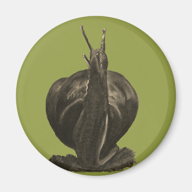 Íman Redondo De Desenho De Pastas De Caracol (Frente)