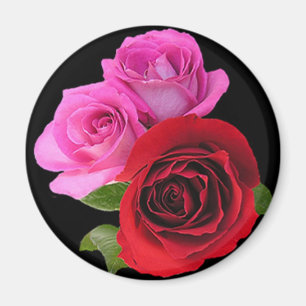Íman RedPinkTonedRoses2