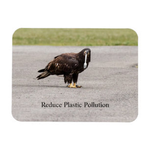 Íman Reduzir a Poluição Plástica