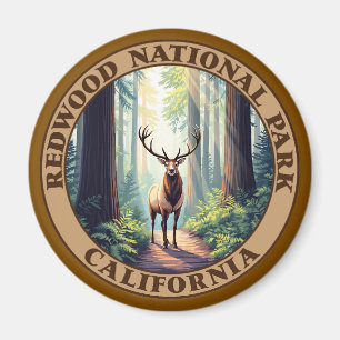 Íman Redwood National Park California