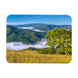 Íman Redwood National Park, Califórnia