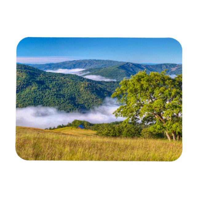 Íman Redwood National Park, Califórnia (Horizontal)