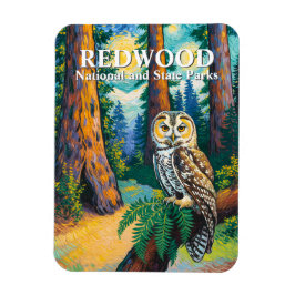 Íman Redwood National Park Forest Owl Van Gogh Style