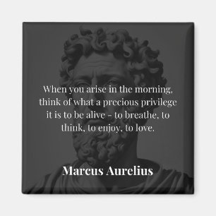 Íman Reflexão da Manhã de Marcus Aurelius: Gratidão por