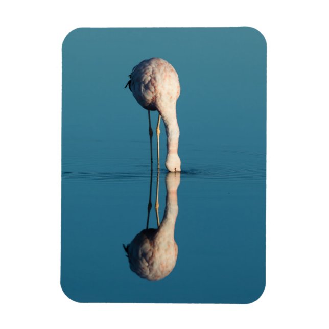 Íman Reflexão Flamingo, Laguna Chaxa, Atacama (Vertical)