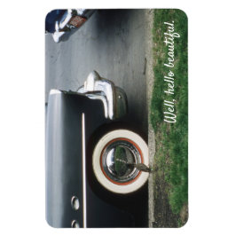 Íman Reflexão sobre a visão de pássaros nos pneus de pa