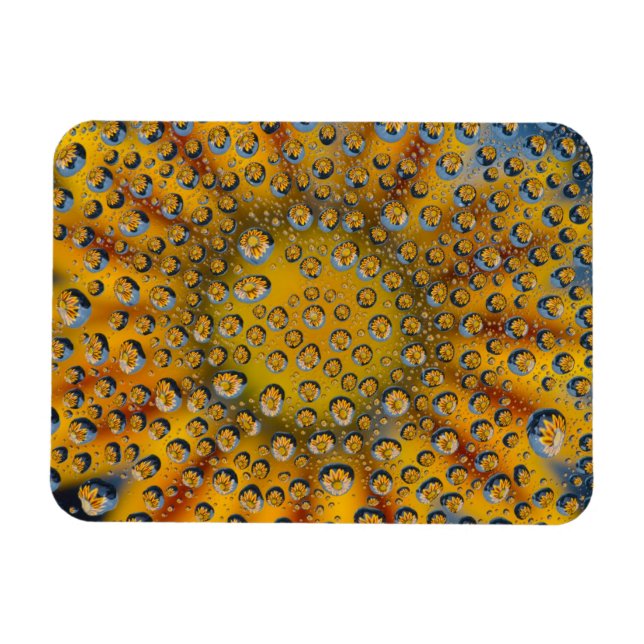 Íman Reflexo de Largura da flor, Crescent City, (Horizontal)