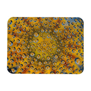 Íman Reflexo Dew Drop de flor, Crescent City,