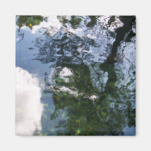 Íman Reflexo no Magnete Sturgeon Pond