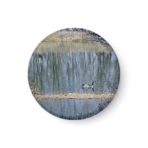Reflexões Calmantes