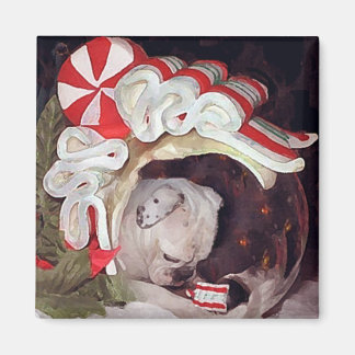 Íman Reflexões de Natal