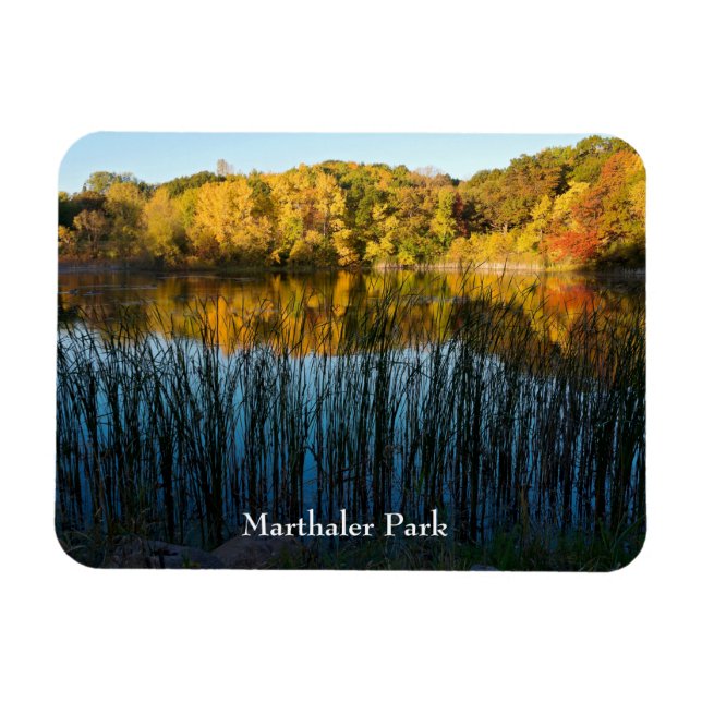 Íman Reflexões do outono do Marthaler Park (Horizontal)