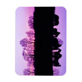 Íman Reflexões Friesianas ao Sol