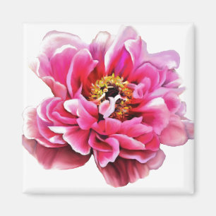 Íman Refrigerador Magnet Pink Peony