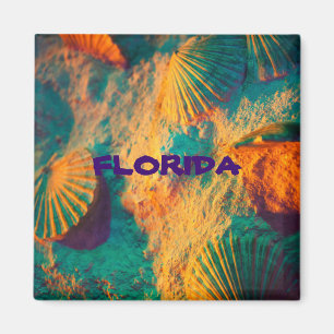 Íman refrigerador para conchas do mar FLORIDA