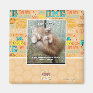 Íman Regra #231 de Kitteh