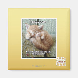 Íman Regra #231 de Kitteh