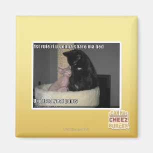 Íman Regra de 1rua se você vai compartilhar a base do m