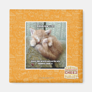 Íman Regra de Kit nº 231