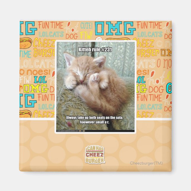 Íman Regra de Kit nº 231 (Frente)