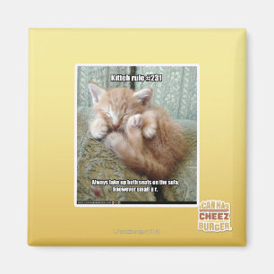 Íman Regra de Kit nº 231