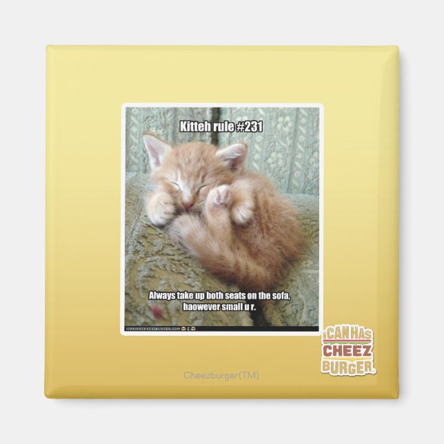 Íman Regra de Kit nº 231 (Frente)