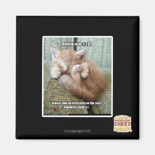 Íman Regra de Kitteh nº 231