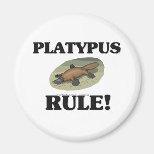 Íman Regra de PLATYPUS!
