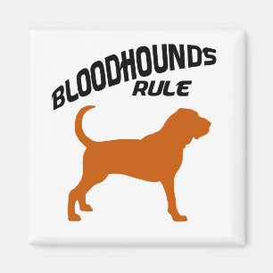 Íman Regra dos Bloodhounds