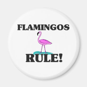 Íman Regra dos FLAMINGOS!