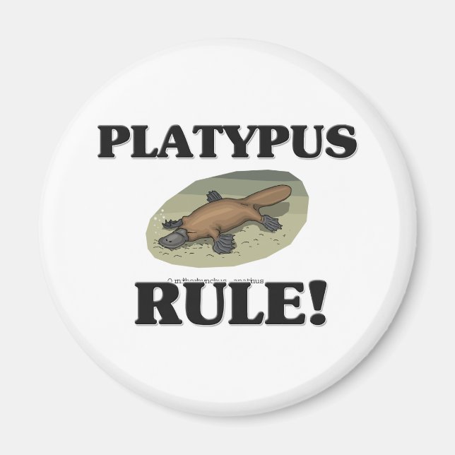 Íman Regra PLATYPUS! (Frente)