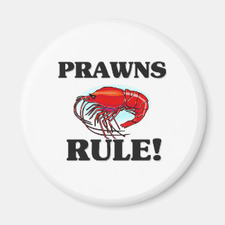 Íman Regra PRAWNS!