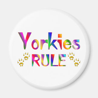 Íman Regra Yorkies