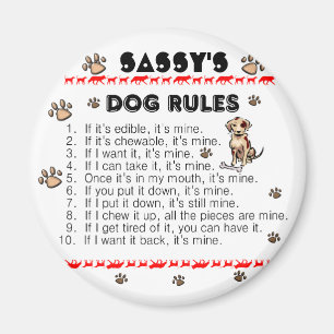 Íman Regras do cão