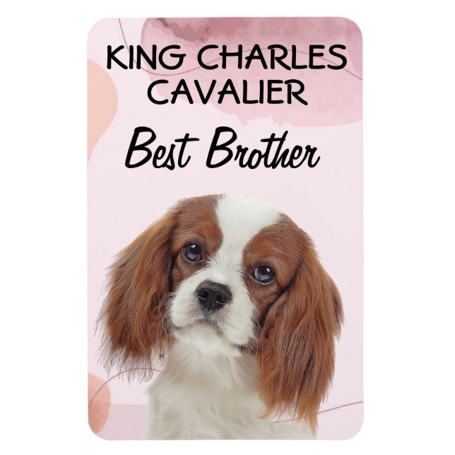 Íman Rei Charles Cavalier Melhor Irmão (Vertical)