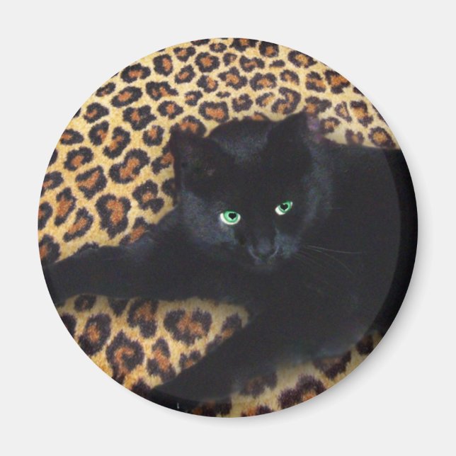 Íman Rei da Selva (Frente)