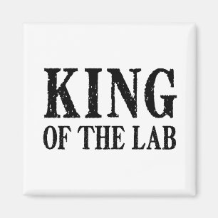 Íman Rei do laboratório - ímã