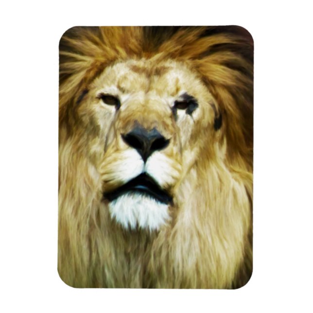 Íman Rei Imperfeito (Vertical)