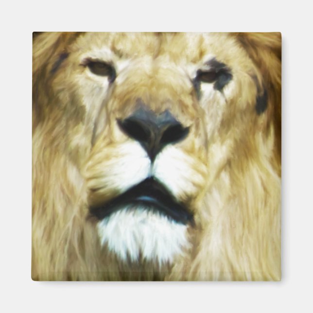 Íman Rei Imperfeito (Frente)