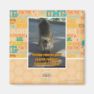 Íman Rejeições de Firefox
