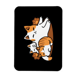 Íman Relaxando a Arte de Gato - 'Dias de Furo de Lázaro