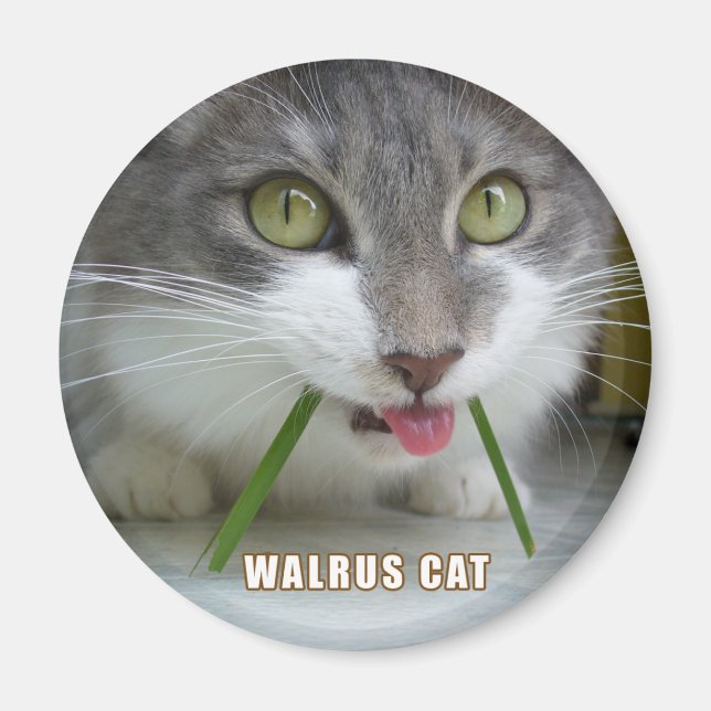 Íman Rema Magnet 011 (Frente)