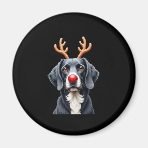 Íman Rena Grande Dinamarquês Natal Grande Dinamarquês M