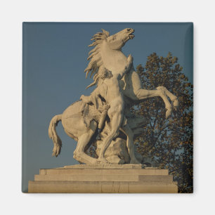 Íman Réplica de um do originall de dois "cavalos