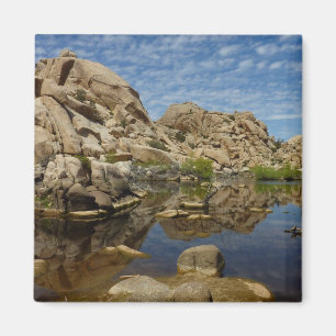 Íman Represa Barker Reflexão em Joshua Tree I