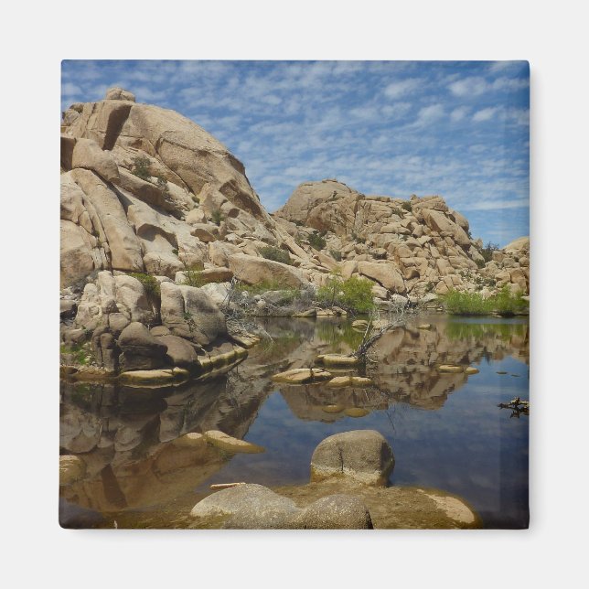 Íman Represa Barker Reflexão em Joshua Tree I (Frente)