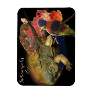 Íman Répteis e Aves do Zoológico de Indianápolis